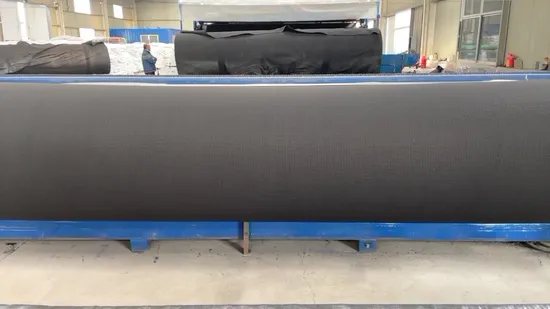 PP/Pet Roads & Railways Aeroportos Projeto Material de construção HDPE Geonet