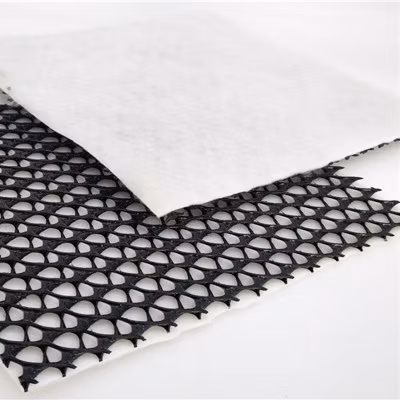 Fabricante e fornecedor de rede de drenagem composta HDPE Geonet 3D Geonet