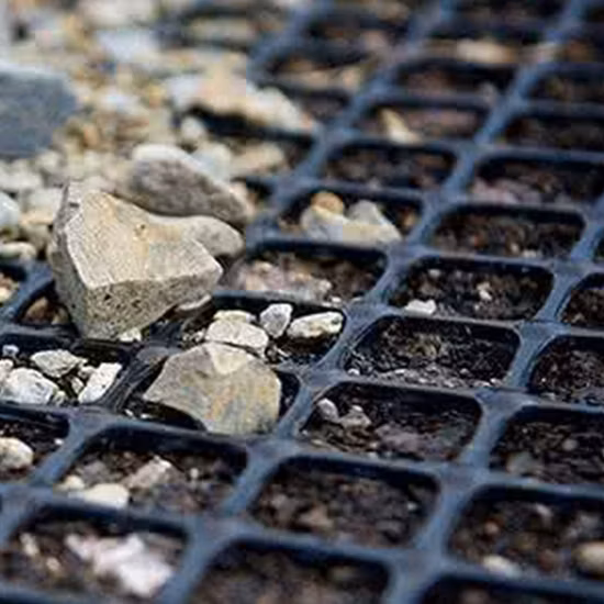 Geogrid biaxial composto não tecido dos PP plásticos 25kn do geotêxtil do animal de estimação