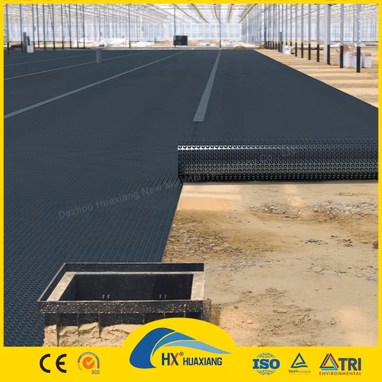 0,2mm/0,5mm/1,0mm/2,0mm Forro de folha de plástico preto CE/ASTM Viring Impermeabilização Geomembrana HDPE para Agricultura/Barragem/Aterro/Lago/Biogás/Projeto de aquicultura